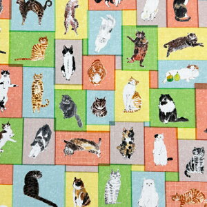 yGvْfςݐZbgzY-10@LnGvZbg@GvZbgłْfς݂̃ZbgȂ̂łƂ͖D