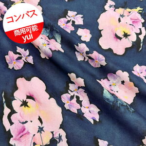 �y�Ȗ��R���p�X�z��10cm�P�ʑ����ăJ�b�g���r�I���@���ʃv�����gyui�@2025