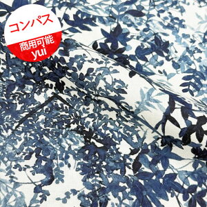 �y�Ȗ��R���p�X�z��10cm�P�ʑ����ăJ�b�g���R���g���X�g�@���ʃv�����gyui�@2025