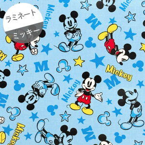 y~l[gz10cmPʑăJbg~bL[}EXƐ@VGbg@u[@2020