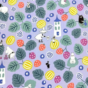 yV[`Oz10cmPʑăJbg[~@x[Ɂ@S3F@2025