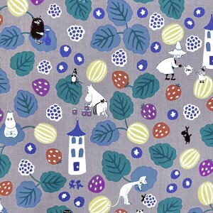 yV[`Oz10cmPʑăJbg[~@x[Ɂ@S3F@2025