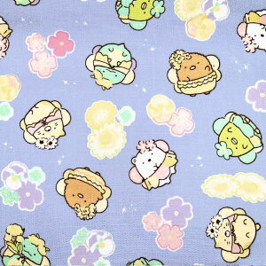 yIbNXz10cmPʑăJbg݂R炵@Ԃ̗d@S3F@2024