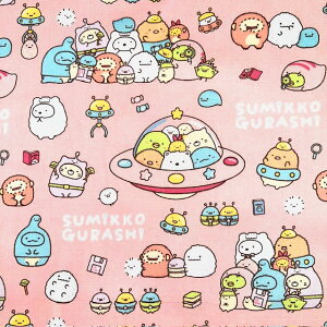 yIbNXz10cmPʑăJbg݂R炵@UFO@S2F@2024