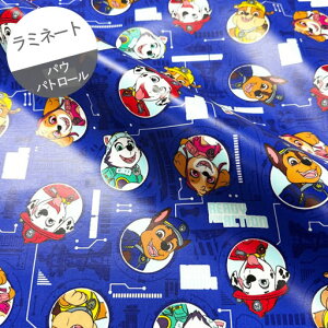 y~l[gz10cmPʑăJbgpEpg[@pnwi@_[Nu[@2024