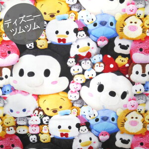 DyIbNXz10cmPʑăJbgfBYj[cc2019ʂݕ@2019SSyfBYj[ disney cc ~bL[ ~j[ v[ `bvf[ LN^[ 2019zgmc