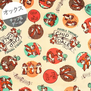 yIbNXz10cmPʑăJbg`bv&f[@Dhbg@N[n@2023@yfBYj[ disney 肷 X Il `bv f[ n z  ʉ w ʊw LN^[z