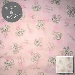 y1100~ȏőzy_uK[[z10cmPʑăJbgxr[~j[fCW[@2020@yfBYj[ disney ~j[}EX fCW[ ̎q WK[[ }XN n z  ʉ w 