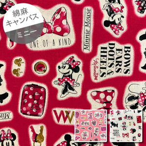 yȖLoXz10cmPʑăJbg~j[}EX one of a kind ʃ{ƃRX@2021@yfBYj[ ̎q n z  ʉ w ʊw LN^[z