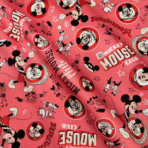 yIbNXz10cmPʑăJbg~bL[}EXNuEHgfBYj[Jpj[n100N萶n@2023