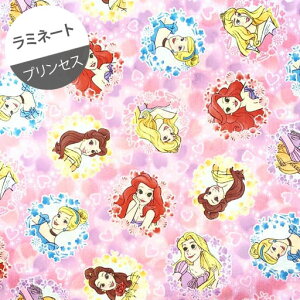 y~l[gz10cmPʑăJbgfBYj[vZX@t[T[N@sN×x_[ 2021yVf I[ x vcF AGz