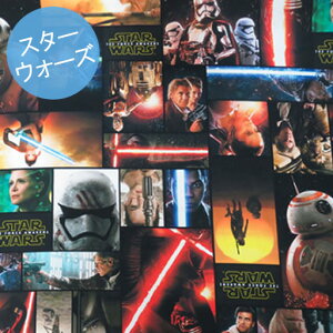 󂠂聦yIbNXfW^vgz95cmnMSTAR WARS@X^[EH[Y @tH[X̊owc95cm×110cmxڗlbv܂