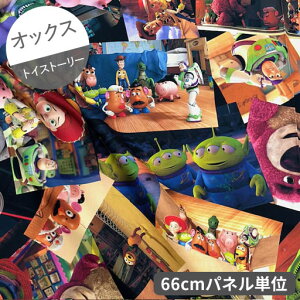 yIbNXz66cmplPʑăJbggCXg[[@V[1e@fW^vg