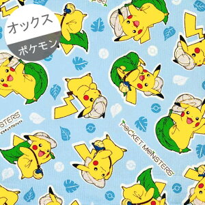 ポケモン オックス 生地の人気商品 通販 価格比較 価格 Com