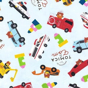 �y�I�b�N�X�z��10cm�P�ʑ����ăJ�b�g���g�~�J�ƃg���@�S2�F�@2026