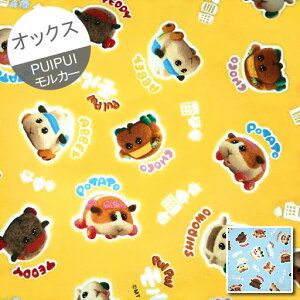 MyIbNXz10cmPʑăJbgPUIPUIJ[̒Ԃ@2021@yvCvCJ[ molcar |eg V Ar[ `R efB bg 񂾁[Ă z