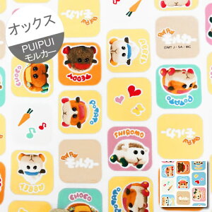 MyIbNXz10cmPʑăJbgPUIPUIJ[@XNGA@2022@yvCvCJ[ molcar |eg V Ar[ `R efB bg 񂾁[Ă z