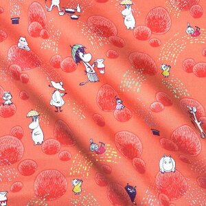 yIbNXz10cmPʑăJbg[~@̂߁@tona BY RIKA KAWATO@2023