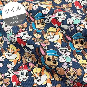 MyTCcCz10cmPʑăJbgpEEpg[@݂Ȃŏo@CfBSu[fjnF@2024