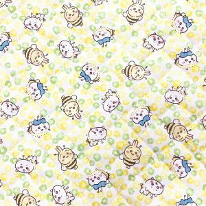 yLgz10cmPʑăJbg@n`񕿁@S3F@2024