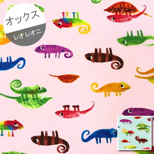 yIbNXz10cmPʑăJbgIIj@JI@2020@y߂ꂨ JI Ԃ񂾂̂ IEI[j G{  n z  ʉ w ʊw LN^[z