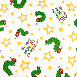 yIbNXz10cmPʑăJbg͂؂ނ@wi@S2F@2024