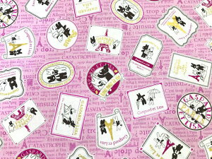 DyV[`Oz10cmPʑăJbgTƃKXp[@by@S2F@2017