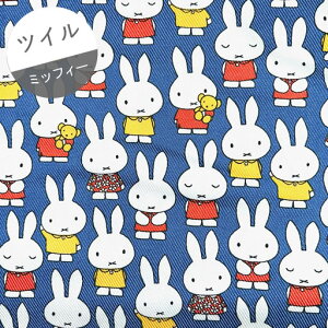 yTCcCz10cmPʑăJbg~btB[@@ԕ̂m@fju[@2025