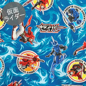 yvCXItzyIbNXz1mJbgNXʃC_[ZCo[@J[FA.nwc1m×110cmx2020