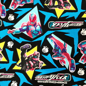 lyIbNXz1mJbgNXʃC_[ oCX@X^[ƌ߃|[Y@B.ubNnwc1m×110cmx2021