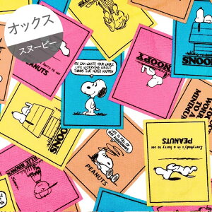 �y�I�b�N�X�z��10cm�P�ʑ����ăJ�b�g��PEANUTS�@75���N�J�[�h���@�}���`�J���[�@2025