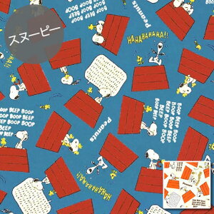 yvCXItzyV[`Oz1mJbgNXXk[s[@̏łׂ@S2Fwc1m×106cmx2021