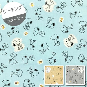 yV[`Oz10cmPʑăJbgXk[s[ƃEbhXgbN@XNb`@2022@ySNOOPY PEANUTS s[ibc n z  ʉ w ʊw LN^[z