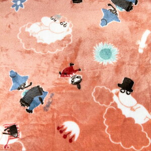 y}CNtlz10cmPʑăJbg_ɏ[~ƒԂ@S2F@2024