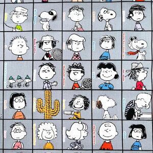 yIbNXz10cmPʑăJbgs[ibc̒Ԃ XNGA Xk[s[ 75NS2F@2025