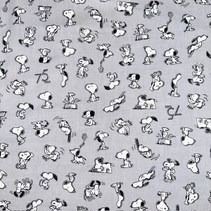 yV[`Oz55cmnMXk[s[X[CXg@75N@S2Fwc55cm×106cmx2025