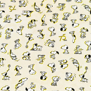 yV[`Oz40cmnMXk[s[X[CXg@75N@S2Fwc40cm×106cmx2025