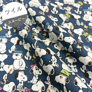 yTCcCz10cmPʑăJbgs[ibc@Xk[s[Ƃ傤@CgCfBSu[@2025