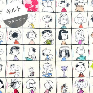 yLgz10cmPʑăJbg75N@s[ibc̒Ԃ@XNGA@N[@2025