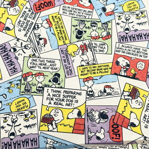 y|GXeIbNXz10cmPʑăJbgXk[s[@VbNR~bN@S2F@2025