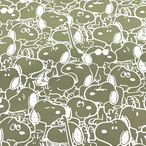 y|GXeIbNXz10cmPʑăJbgXk[s[@mg[蕿@S3F@2025