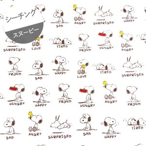 yV[`Oz70cmnMXk[s[@tXPb`X^v@J[FA.AC{[wc70cm×106cmx2024