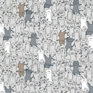 y_uK[[z10cmPʑăJbgӂɂ_XL@S2F@2025