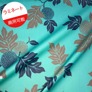 ハワイ 布 ハワイアン 生地 生地 布の人気商品 通販 価格比較 価格 Com ハワイ 布 ハワイアン 生地 生地 布の人気商品 通販 価格比較 価格 Com