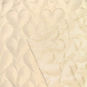 y68cmLgz10cmPʑăJbgn[gXeb`@NeroriRose@S5F@2023