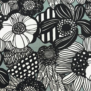 yȖLoXz10cmPʑăJbgky^b`@傫ȃu[P@S9F@2019