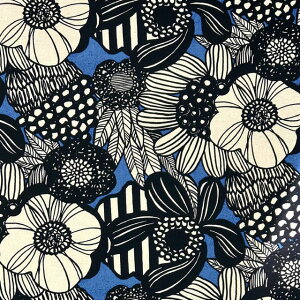 yȖLoXz10cmPʑăJbgky^b`@傫ȃu[P@S9F@2019