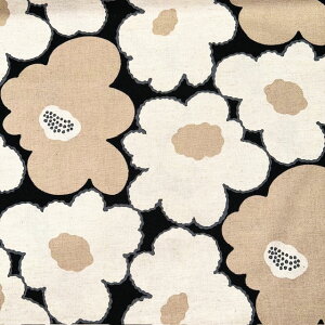 yȖLoXz10cmPʑăJbgC̑傫ȉԁ@@S2F@2024