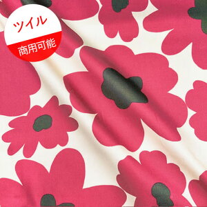ycCz50cmnMk@傫ȉԁ@J[FI.AC{[nɃ[Yԁwc50cm×110cmx