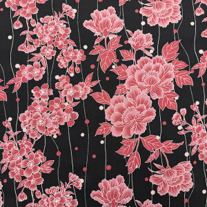 ycMhr[z10cmPʑăJbgƉO@S3F@2025